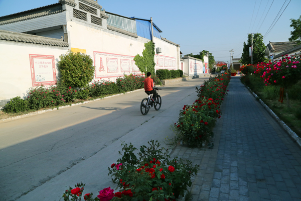 1588729457411374.jpeg 001 7C7A1879.JPG