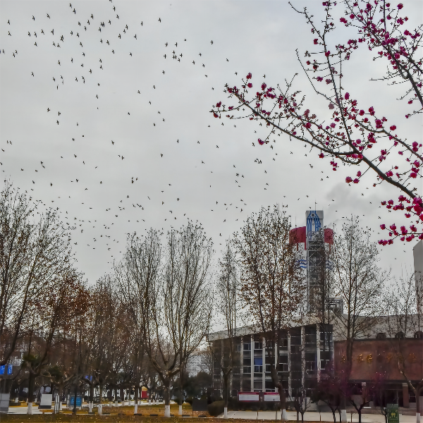 一等獎 生態化工1   徐暉  13892559729(1).png