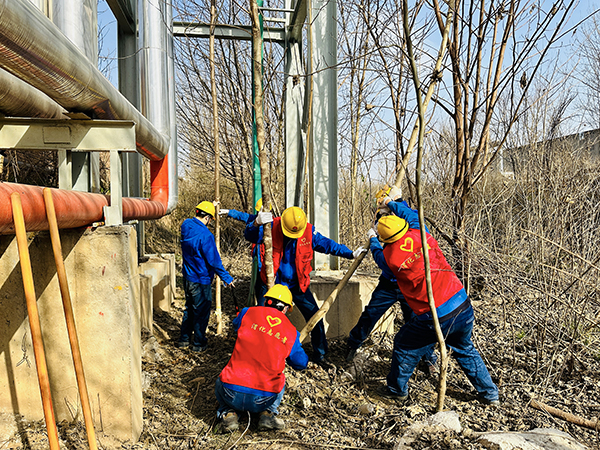 3月20日下午，物料車間黨支部開展了“清除雜草保安全 志愿服務顯擔當”主題活動，黨員及青年志愿者清理影響管線安全的枯樹枝   600.jpg