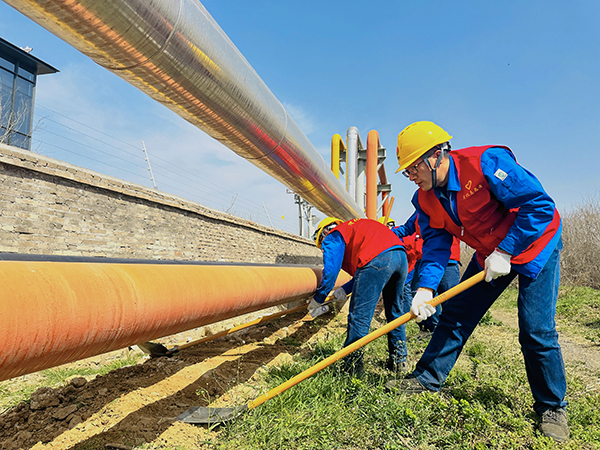 3月20日下午，物料車間黨支部開展了“清除雜草保安全 志愿服務顯擔當”主題活動，黨員及青年志愿者清理管線底部雜草   600.jpg