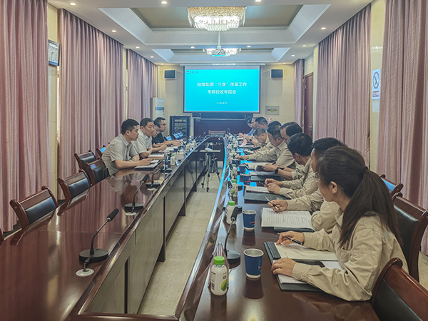 2025年6月5日，陜煤集團“三定”改革檢查組到公司開展現場驗收    600.jpg