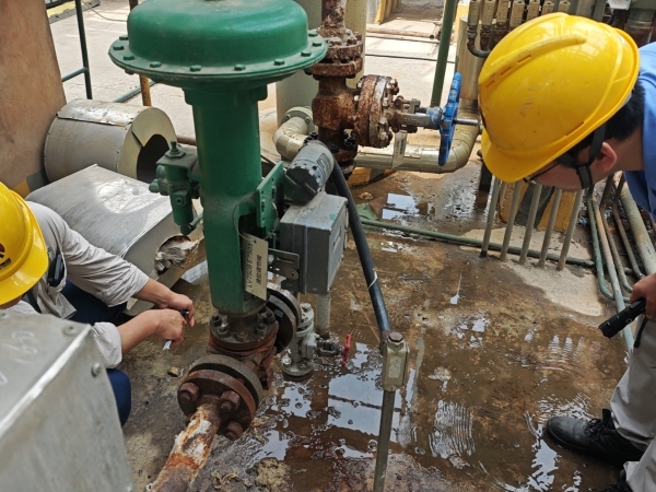 141752450507126235.jpg 質量回頭望1.jpg