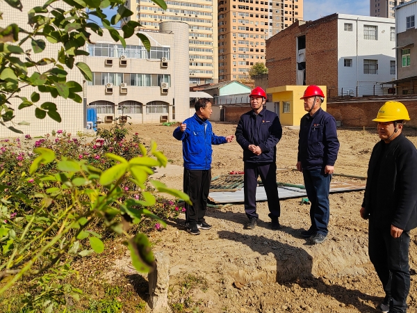 11月20日上午，集團公司黨委書記、董事長、總經理趙強親臨辦公樓南側綠化改造升級工程現場實地督導工作-1.jpg